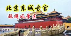 啊嗯啊骚逼啊嗯啊操死你拍下视频发动态女大学生中国北京-东城古宫旅游风景区